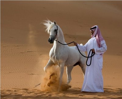 оаэ
